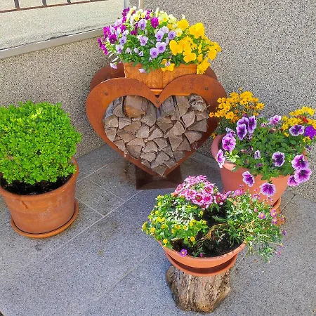 Penzion Alpina Neustift 4*